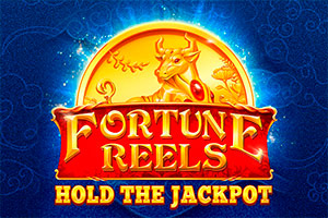 Slot Fortunes Reels
